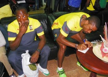 Les Lions sont de retour (vidéos)