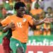 CAN2015: Bony et Gyan, duel au sommet de l’Afrique