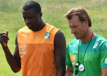 Hervé…Renard des surfaces africaines