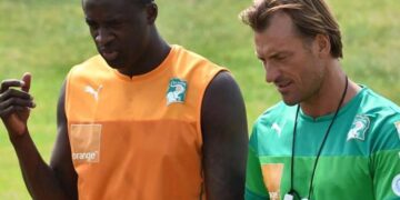 Hervé…Renard des surfaces africaines