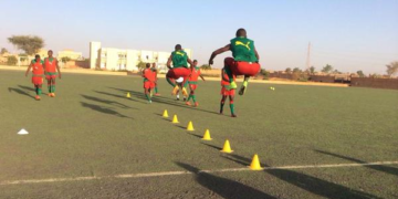 Niger 2015 : changement dans le programme des Lionceaux