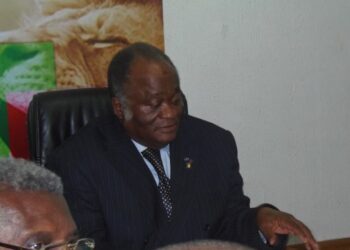 Joseph Owona : «la dénonciation de Tombi était calomnieuse»