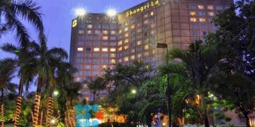 Lions Indomptables : des professionnels ont rejoint la tanière