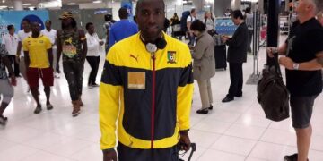 Lions en Thaïlande : long et périlleux voyage  (images)