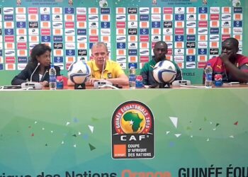 Finke et les Lions : 23 mois de tops et flops
