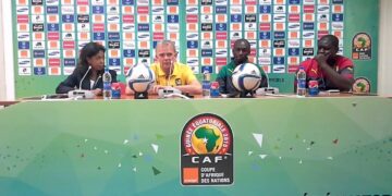 Finke et les Lions : 23 mois de tops et flops