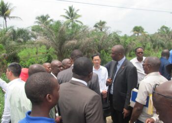 Nouveau stade : Le CoCan 2016 et 2019 sur le site