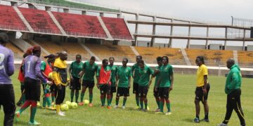 Mondial 2015 : Les Lionnes seront en stage au Canada