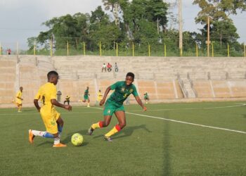 Amical : les Lionnes assurent l&rsquo;essentiel