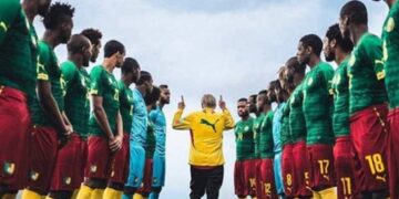 Quel avenir pour Finke à la tête des Lions ?