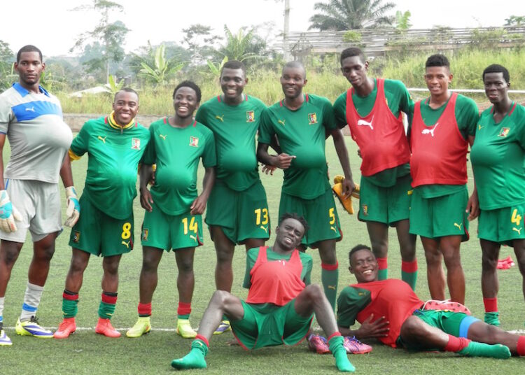 La paternité des Lionceaux