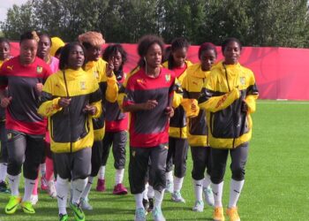 Lionnes: Des nouvelles ambassadrices