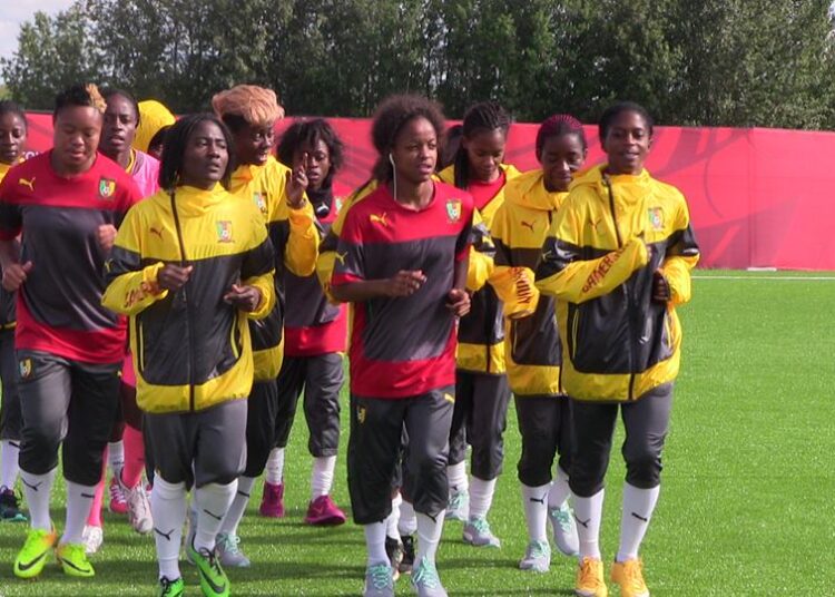 Lionnes: Des nouvelles ambassadrices