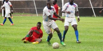 L1 : Canon tire la langue, Apejes suce le doigt (1-2)