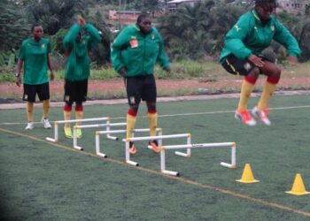 Lionnes juniors: Une équipe au laboratoire