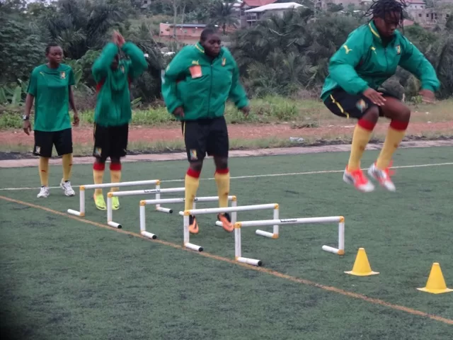 Lionnes juniors: Une équipe au laboratoire
