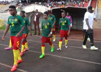 Lionnes juniors : parties dans l’indigence