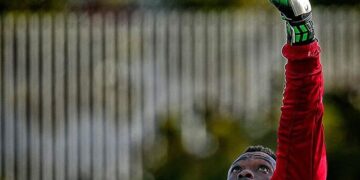 Lions en Club: Kameni prolonge à Malaga