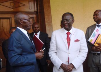 Crise au Canon : Tsimi Evouna siffle la fin de la récré