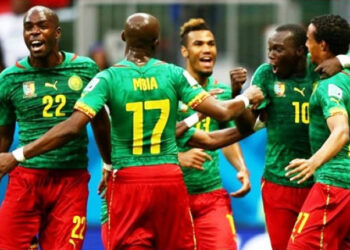 Amical : France – Cameroun, le 30 Mai 2016 à Nantes