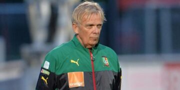 Recrutement du coach des Lions : pourquoi c’est si long