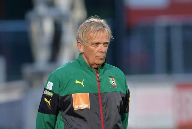 Recrutement du coach des Lions : pourquoi c’est si long