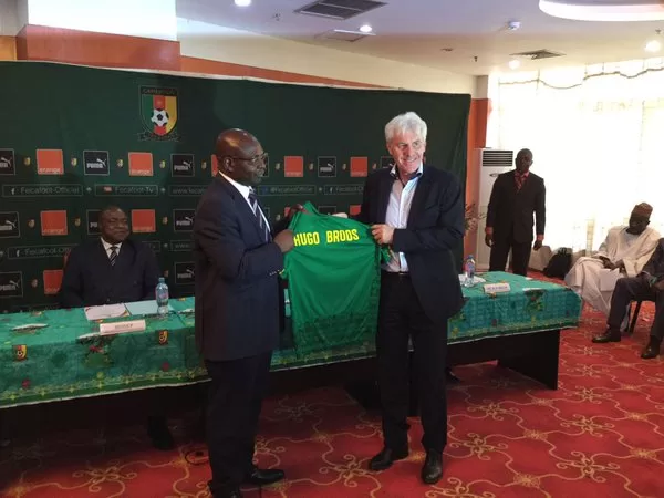 Nouveau coach des Lions : pas d’état de grâce