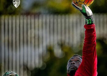 Lions en Club: Kameni prolonge à Malaga