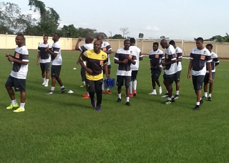 Lions Indomptables : Prendre du plaisir et faire le jeu