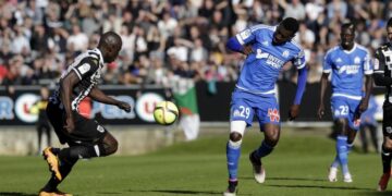 OM : Anguissa, le revenant récompensé