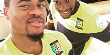 Stage des Lions : première séance cet après-midi