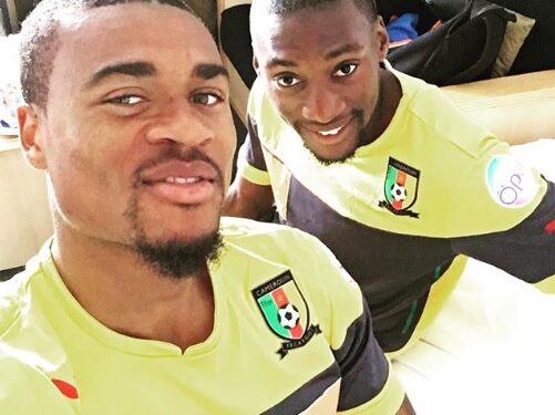 Stage des Lions : première séance cet après-midi