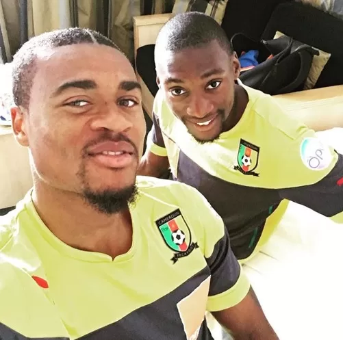 Stage des Lions : première séance cet après-midi