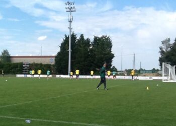 Les Lions à Nantes : intensification dans le travail