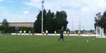 Les Lions à Nantes : intensification dans le travail