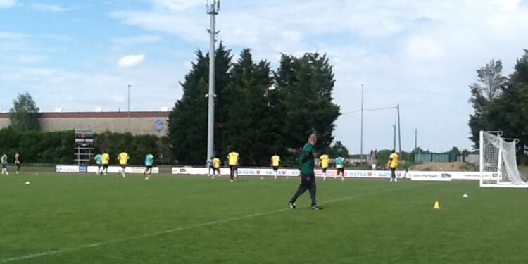 Les Lions à Nantes : intensification dans le travail