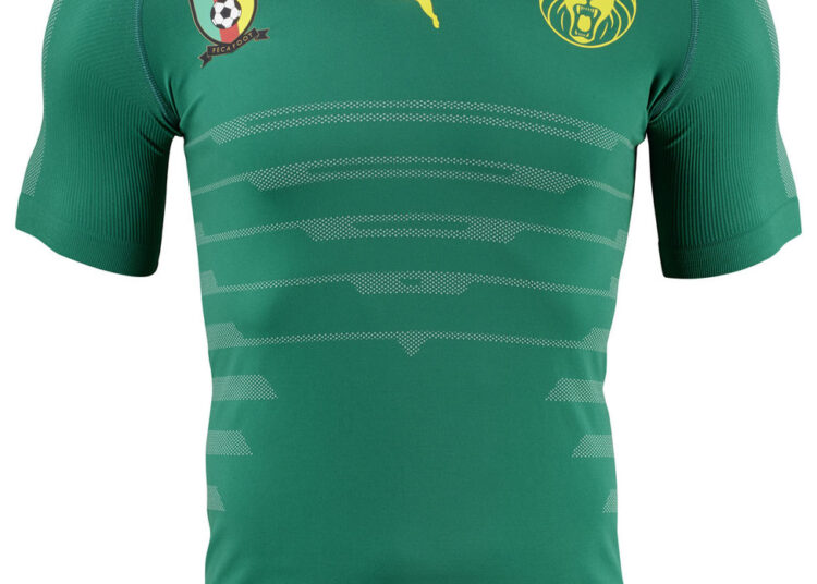 France – Cameroun: avec le nouveau maillot des Lions