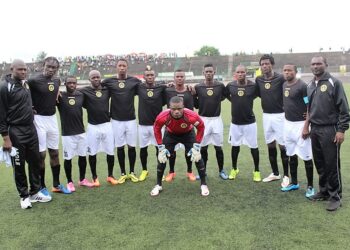Aigle plane haut à Mbouda
