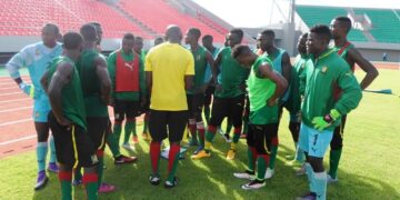 Cameroun-Zimbabwe : Les Lionceaux se sont entrainés