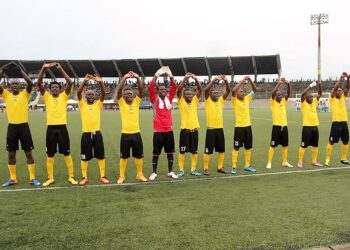 Garoua : Aigle veut se tisser un nid en Coton