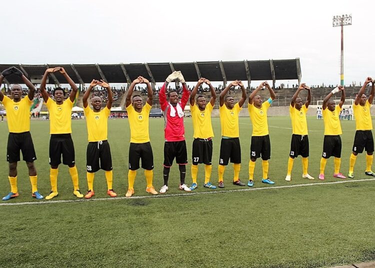 Garoua : Aigle veut se tisser un nid en Coton