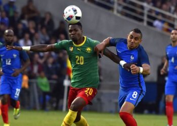 Les Lions indomptables cherchent le successeur de « Marco »