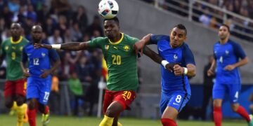 Les Lions indomptables cherchent le successeur de « Marco »