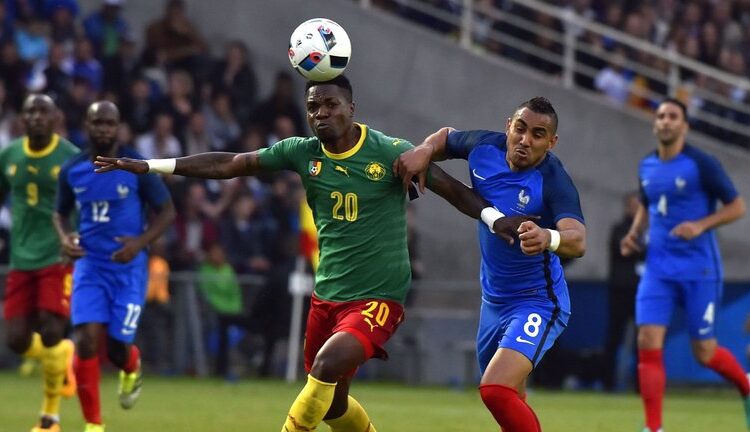Les Lions indomptables cherchent le successeur de « Marco »