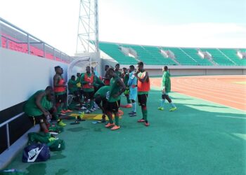 Zambie 2017: Les Lionceaux à Bafoussam mercredi