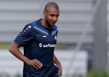 Bundesliga : David N&rsquo;Gog à l&rsquo;essai à Darmstadt