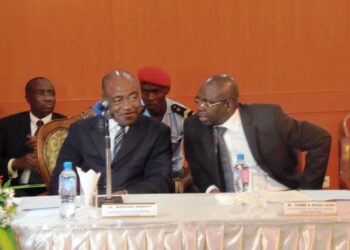 Organisation de la CAN 2016 : le Cameroun est presque prêt
