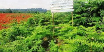 Les nouvelles du stade omnisports de Bangangté