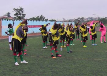Lionnes Indomptables : 20 + 6 professionnelles en cage
