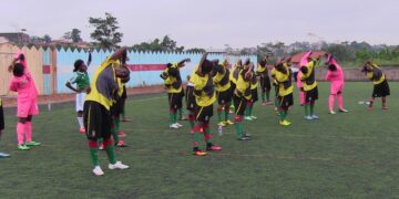 Lionnes Indomptables : 20 + 6 professionnelles en cage